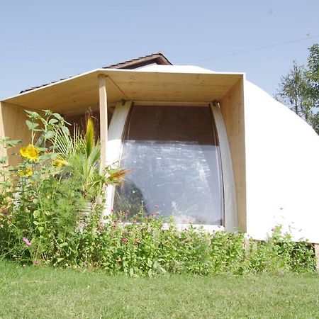Rose-Marie'S Paradies Apartment Aesch Exterior photo